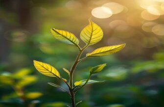 Тёплая лоджия своими руками
